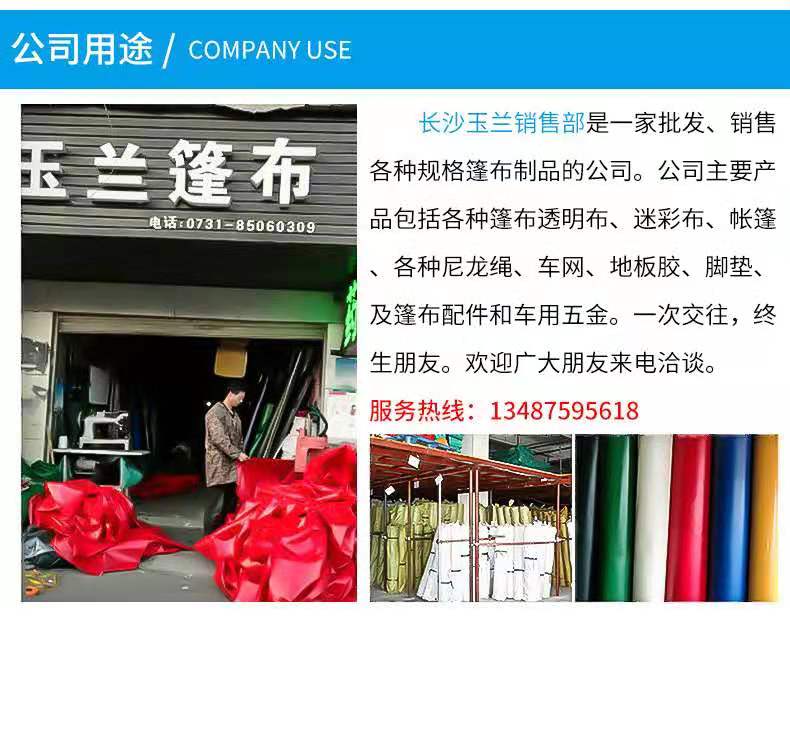 浏阳市绿地苗木种植专业合作社,浏阳苗木种植,大香樟移植,花卉苗木销售